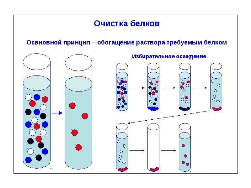 Методы очистки белка. Избирательное осаждение белков оборудование. Методы очистки белков. Выделение и очистка белков. Методы очистки белков биохимия.