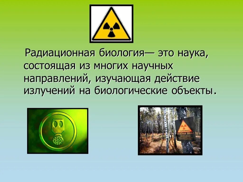 Радиация в биологии. Биологическое воздействие радиации. Презентация на тему биологическое воздействие радиации. Биологическое влияние радиации на живые организмы. Действие радиации презентация