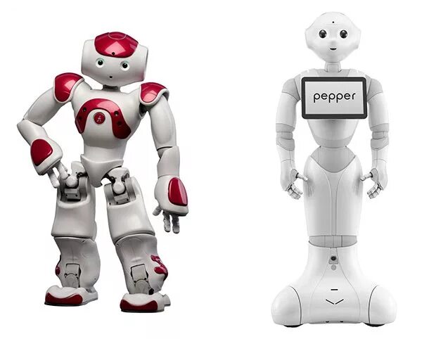 Что такое поисковый робот. Функции роботов. человекоподобный робот nao 6. функции поисковых роботов. основной робот яндекса.