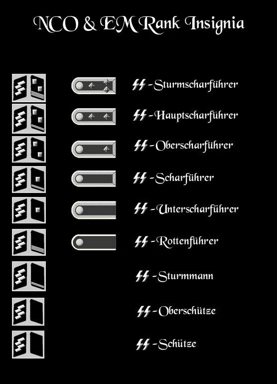 Ss ranks. Звания СС. Звания СС И вермахта. Звания в СС Германии второй мировой. Звания SS.