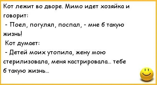 Песня давай пойдем гулять и поедим. Кот лежит во дворе мимо идет хозяйка. Анекдоты про котов. Анекдоты кота Феликса. Анекдот про кота.