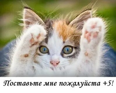 Не переживай все увидишь