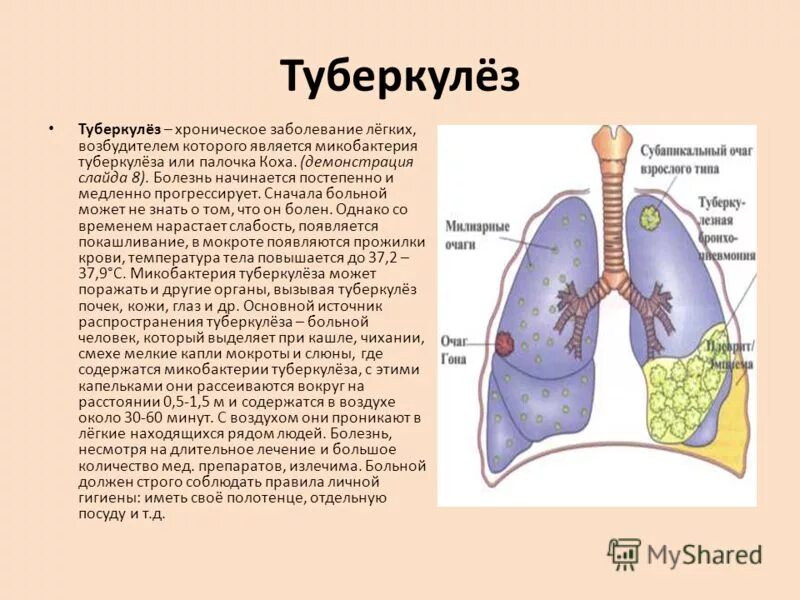 Сообщение про болезнь туберкулез. Заболевания органов дыхания туберкулез доклад. Туберкулез легких это кратко.