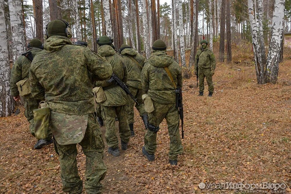 Зона сво армия