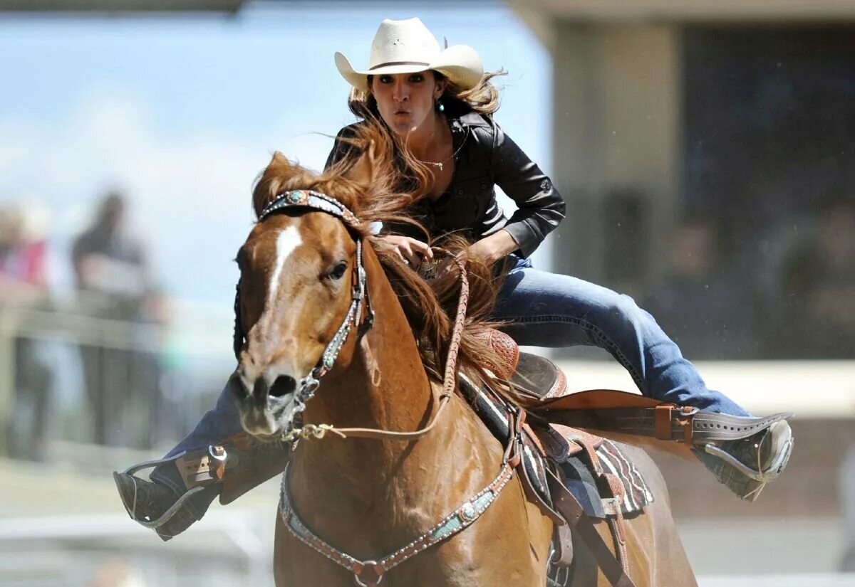 Кобылы женщины. Конный спорт девушки. Толстухи наездницы. Красивая наездница. Женщина с конским.