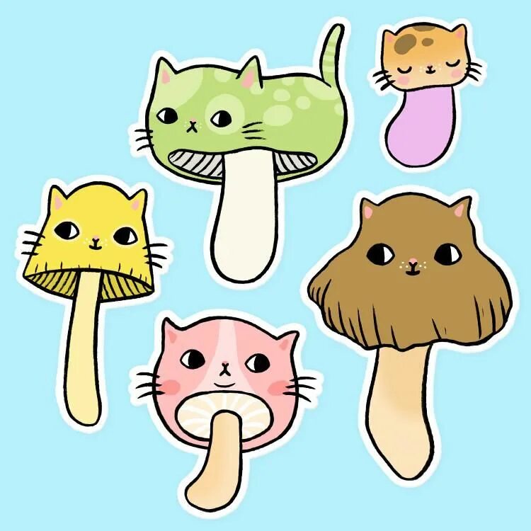 Распечатать котиков из пинтереста