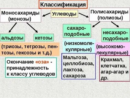 Каталитическую структурную запасающую гормональную сократительную энергетическую
