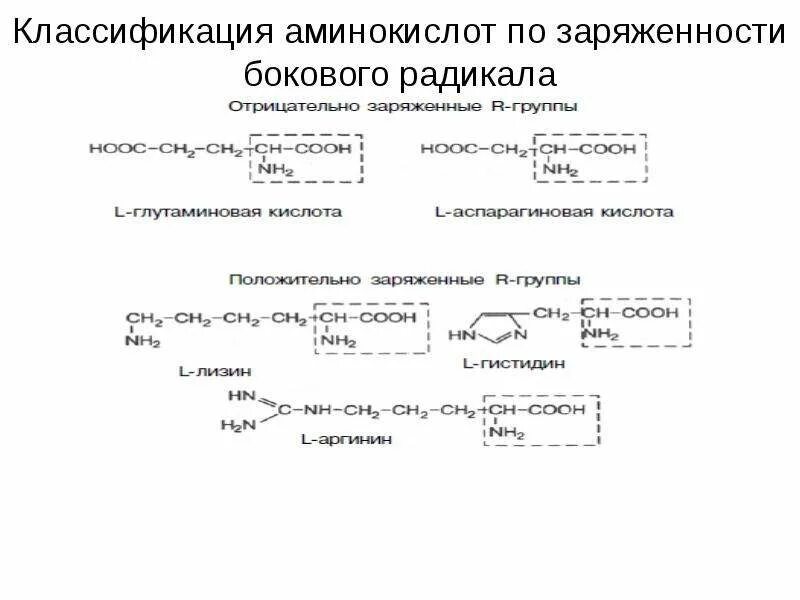 Классификация радикалов аминокислот. Аминокислоты по заряженности боковых радикалов. Классификация аминокислот по полярности радикалов. Классификация аминокислот по строению бокового радикала. Аминокислотные радикалы