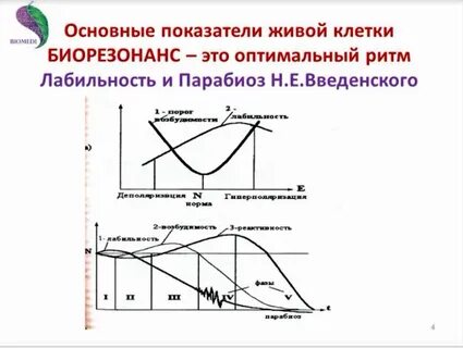 Максимальный ритм