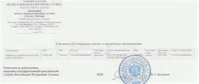 Фнс сведения о счетах. Форма справки о расчетных счетах в ифнс. справка из налоговой об открытых расчетных счетах. справка об открытых счетах образец. справка из ифнс об открытых счетах.