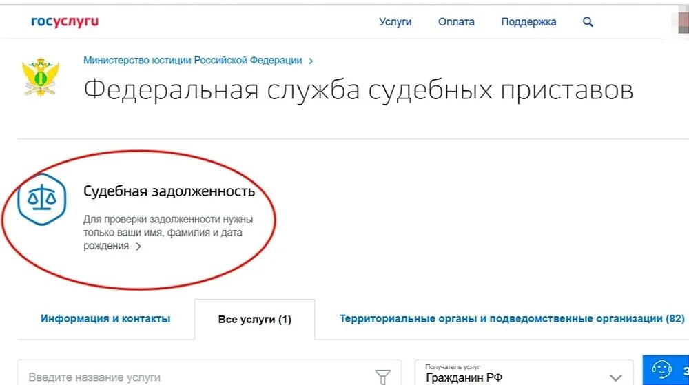 Запрет на выезд за границу. Как выехать за границу с долгами у судебных приставов. Банк данных исполнительных производств. Судебная задолженность выезд за границу. Ограничение на выезд за границу проверить.