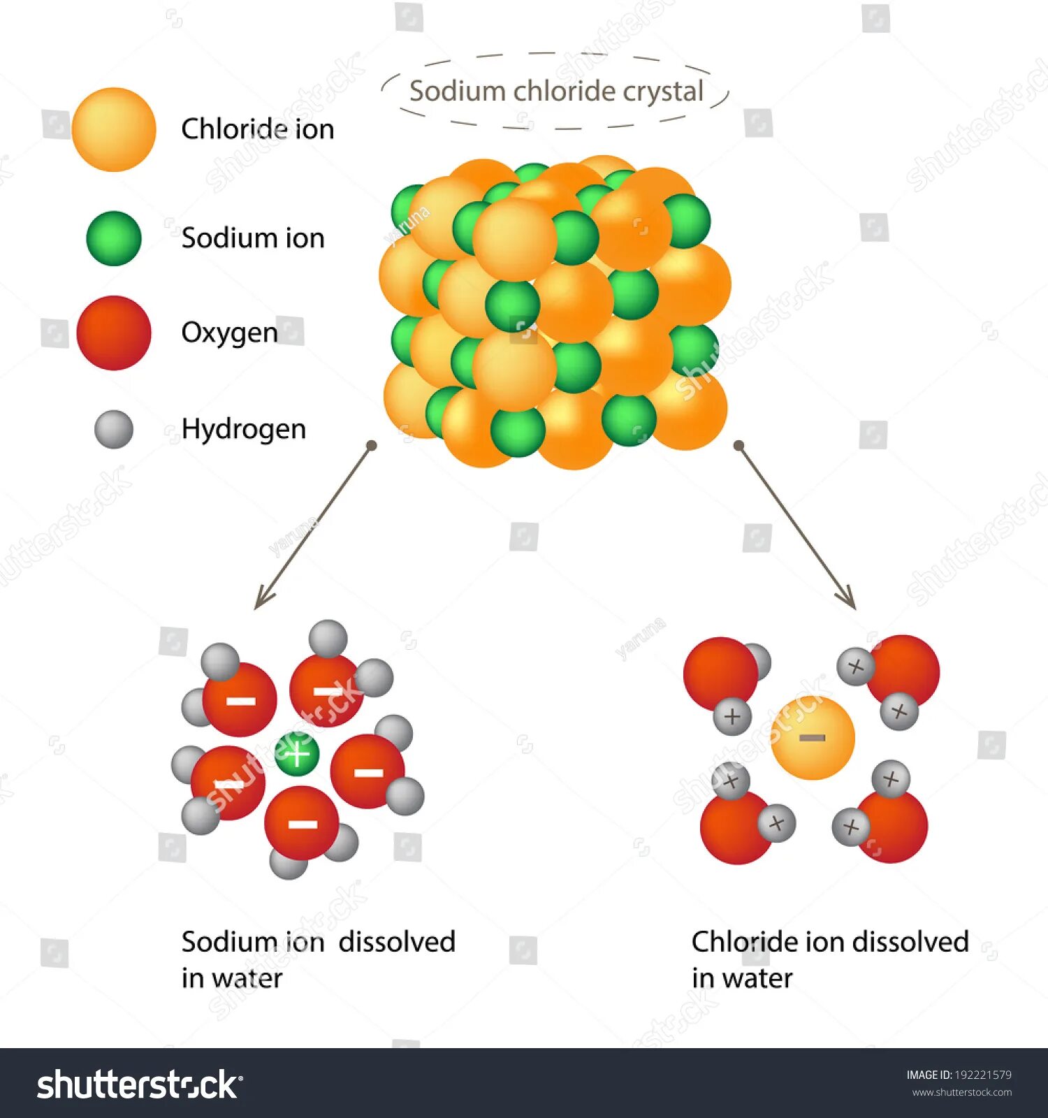 Из nacl в натрий. Молекула NACL. Молекула хлорида натрия. Кристалл NACL. VECTORSTOCK NACL molecule.