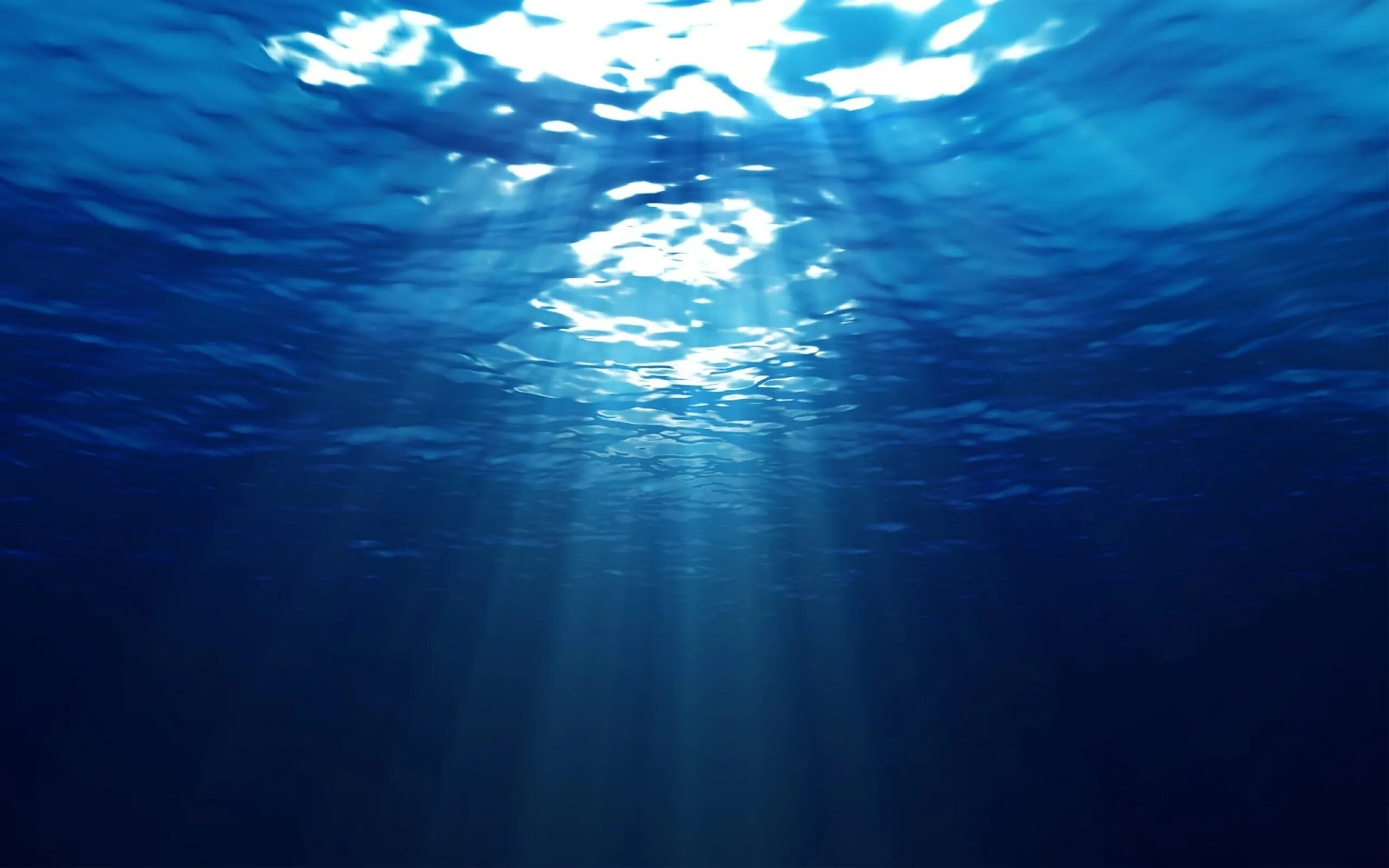 В глубь океана. Океаны. Глубина. Под водой. Дно океана. Море под водой.