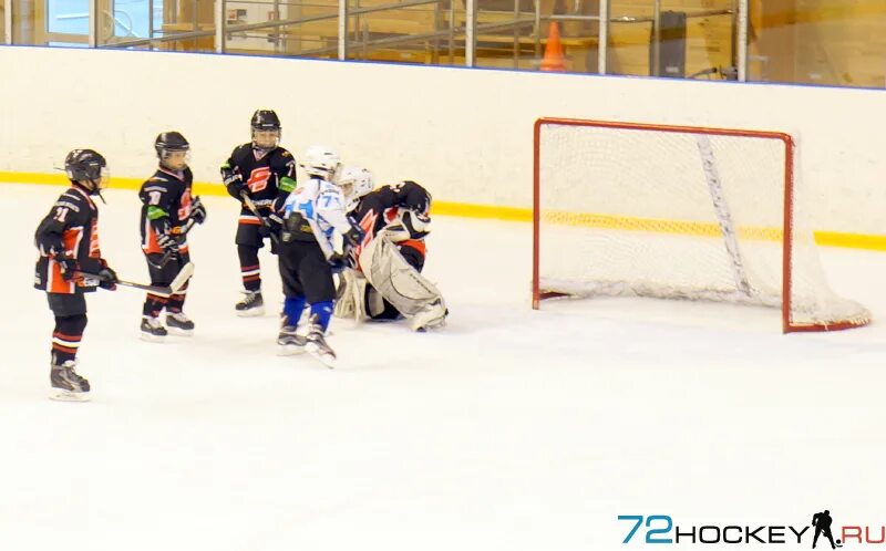 авангард 2007