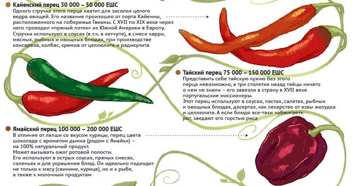 Как отличить горький перец. Кайенский стручковый перец. Кайенский перец Чили. Красный перец название. Кайенский перец острота.