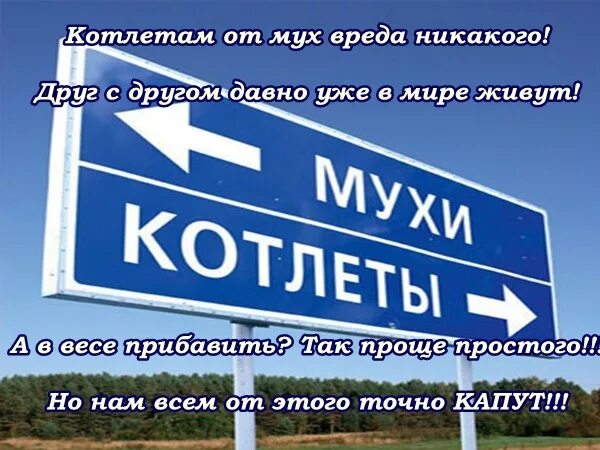 Котлеты отдельно мухи отдельно откуда. Отделить мух от котлет. Мухи и котлеты отдельно. Мухи отдельно котлеты отдельно. Мухи отдельно котлеты отдельно.