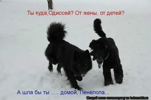 Пойдем домой сайт