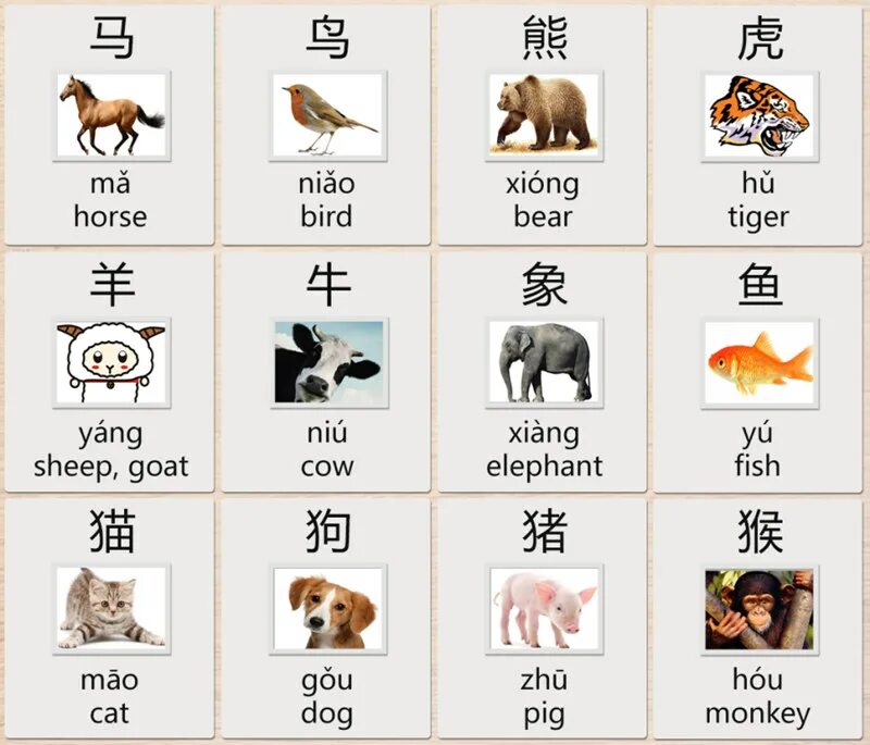 Названия животных на китайском. Животные Китая. Животные на китайском языке для детей. Карточки с китайскими животными.