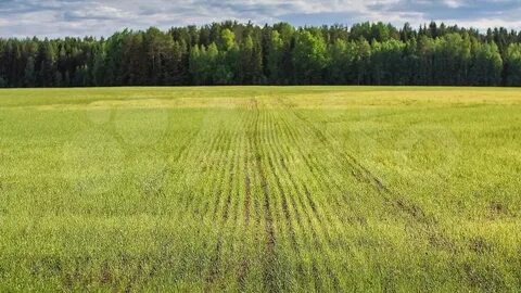 Продам земли с х назначения