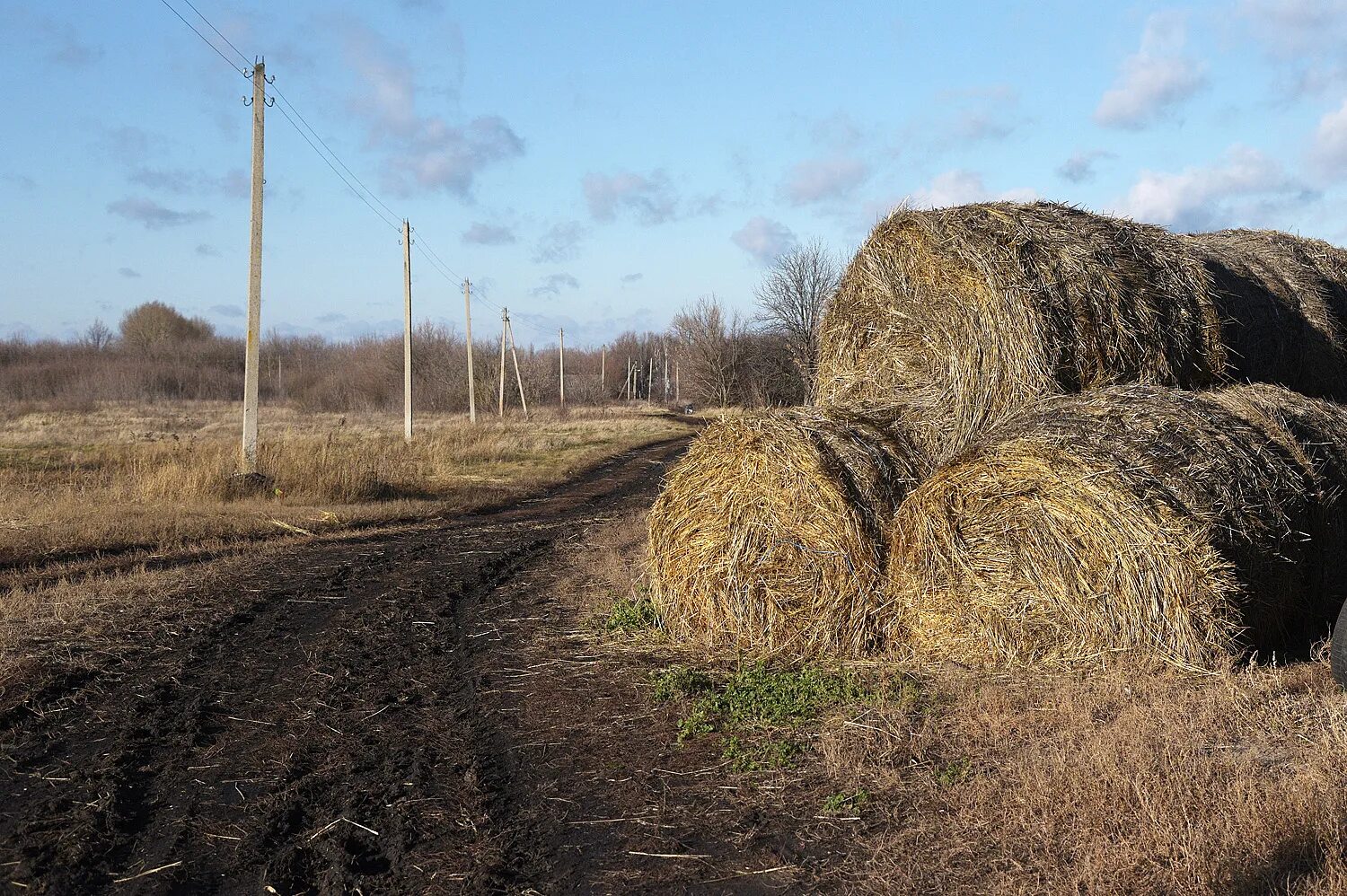 Village воронеж. Заброшенные деревни Воронежской области. Заброшенный Хутор. Заброшенные хутора Воронежской области 2022 год. Заброшенные деревни Воронежской области Новоусманского района.