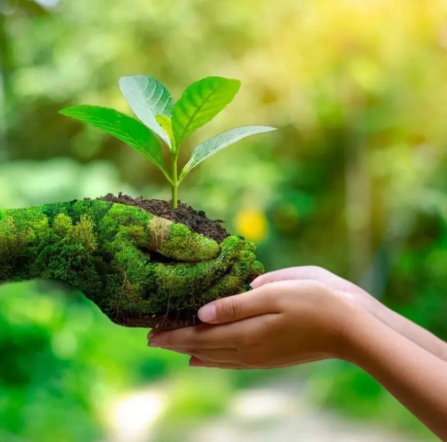 What nature friendly ideas started a new. Забота об окружающей среде. гринвей дерево. eco friendly. взаимодействие человека и природы фото.