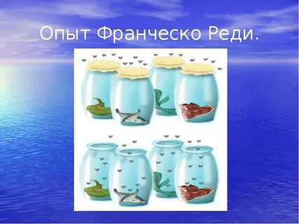Опыт реди