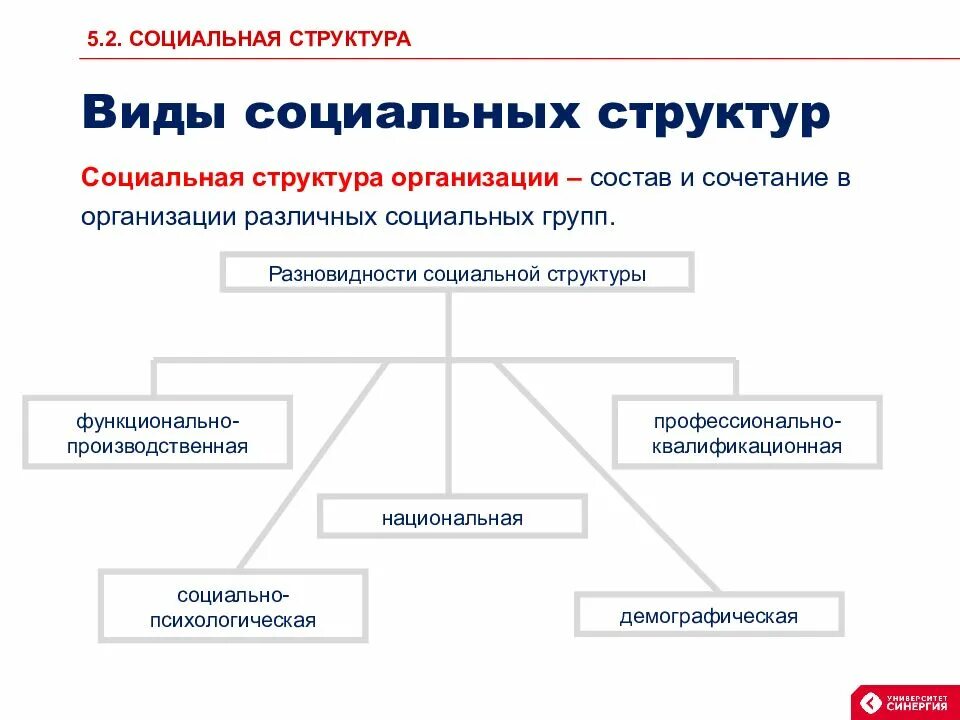 Структура соц групп. Виды социальных структур. Социальная структура. Общественная структура. Виды социальный труктуры.