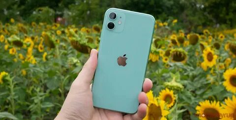 Green 12