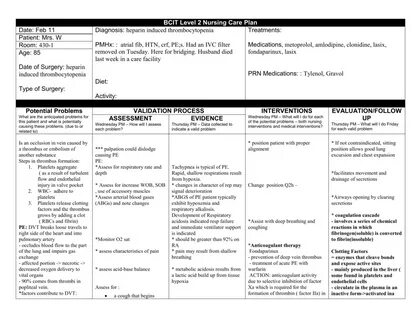 Care plan
