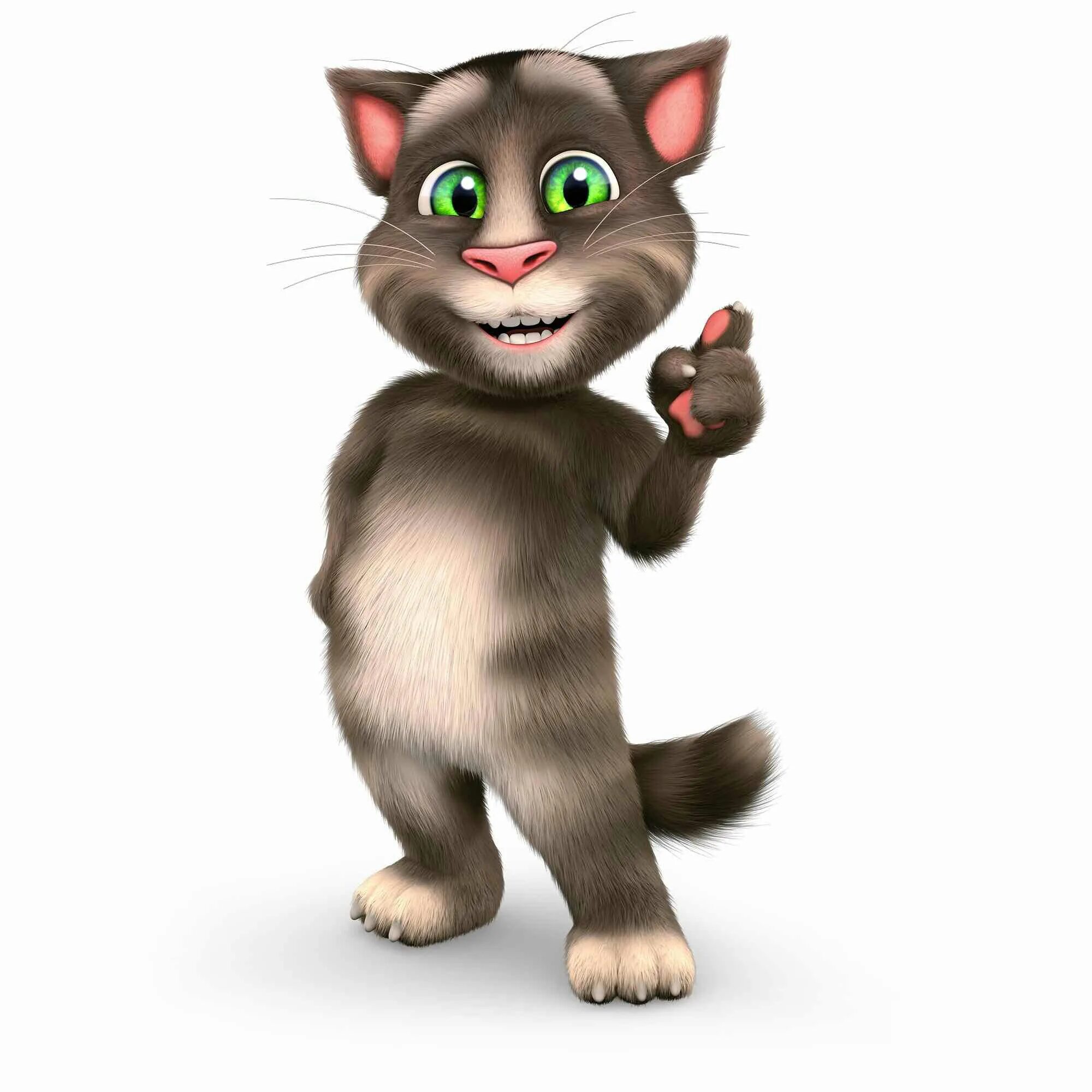 1 часть говорящего тома. Talking Tom. Говорящий том и друзья. Talking Tom 2. Talking Tom Gallery.