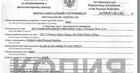 Заключение о карантинном состоянии подкарантинной продукции