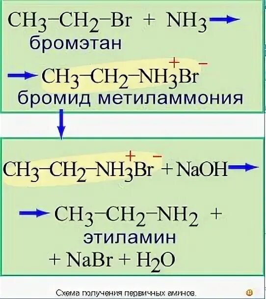 В результате взаимодействия бромида метиламмония. Бромэтан и аммиак реакция. Бромэтан+nh3. Бромид метиламмония. Реакции с бромэтаном.
