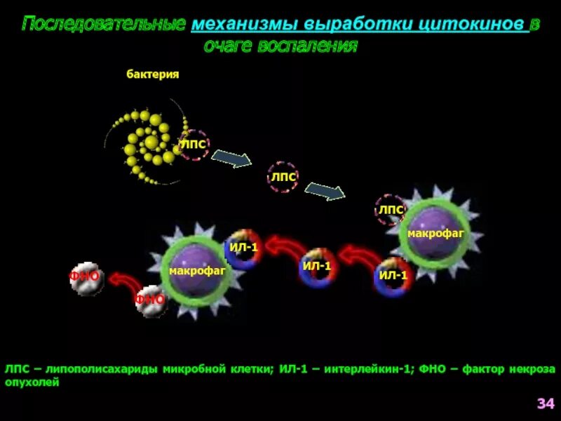 Коронавирус шторм. Цитокиновый шторм. Механизм цитокинового шторма. Цитокиновый шторм иммунология. Цитокиновый шторм Covid.