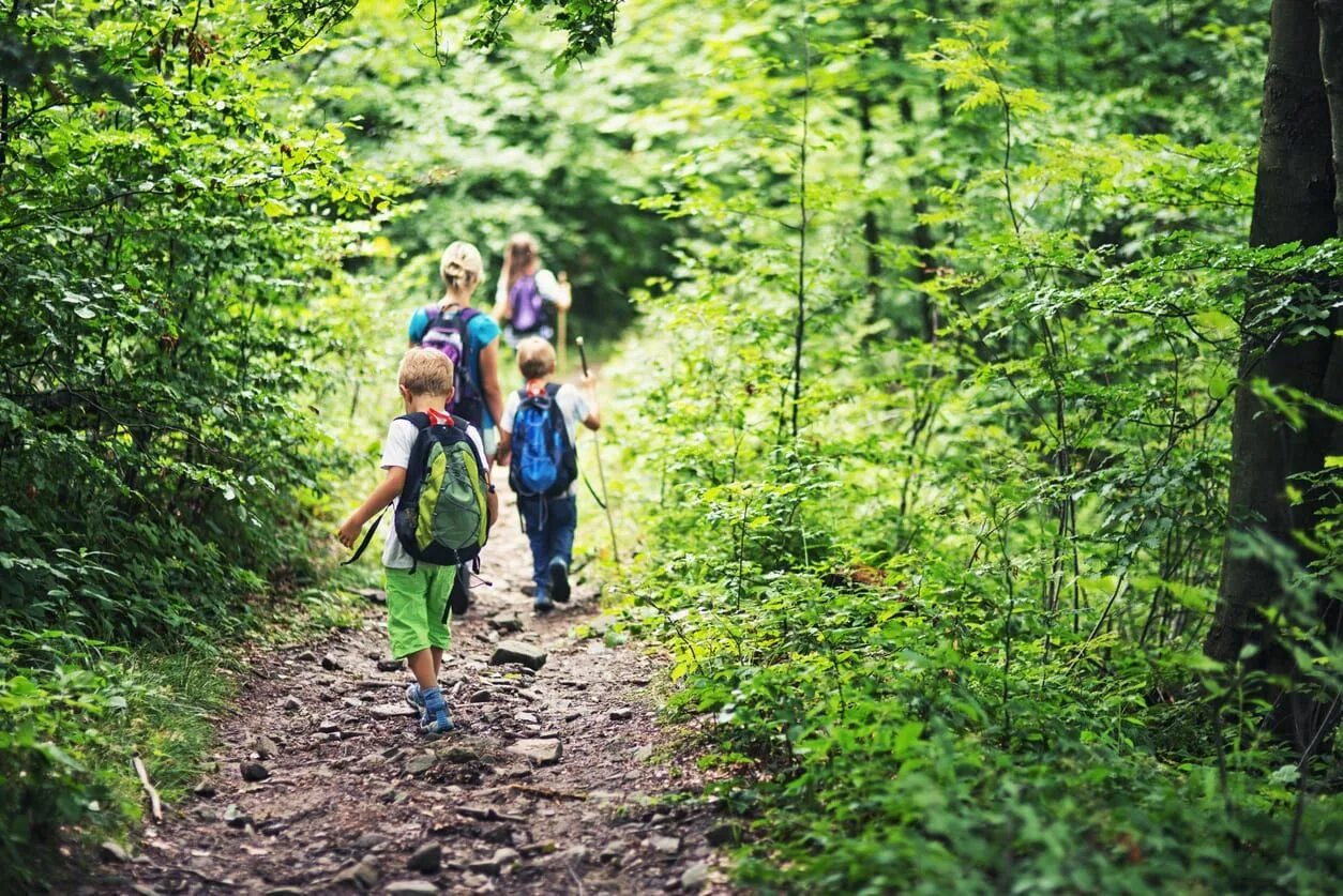 Children natural. Прогулка на природе. Лесная прогулка. Гулять в лесу. Поход в лес.