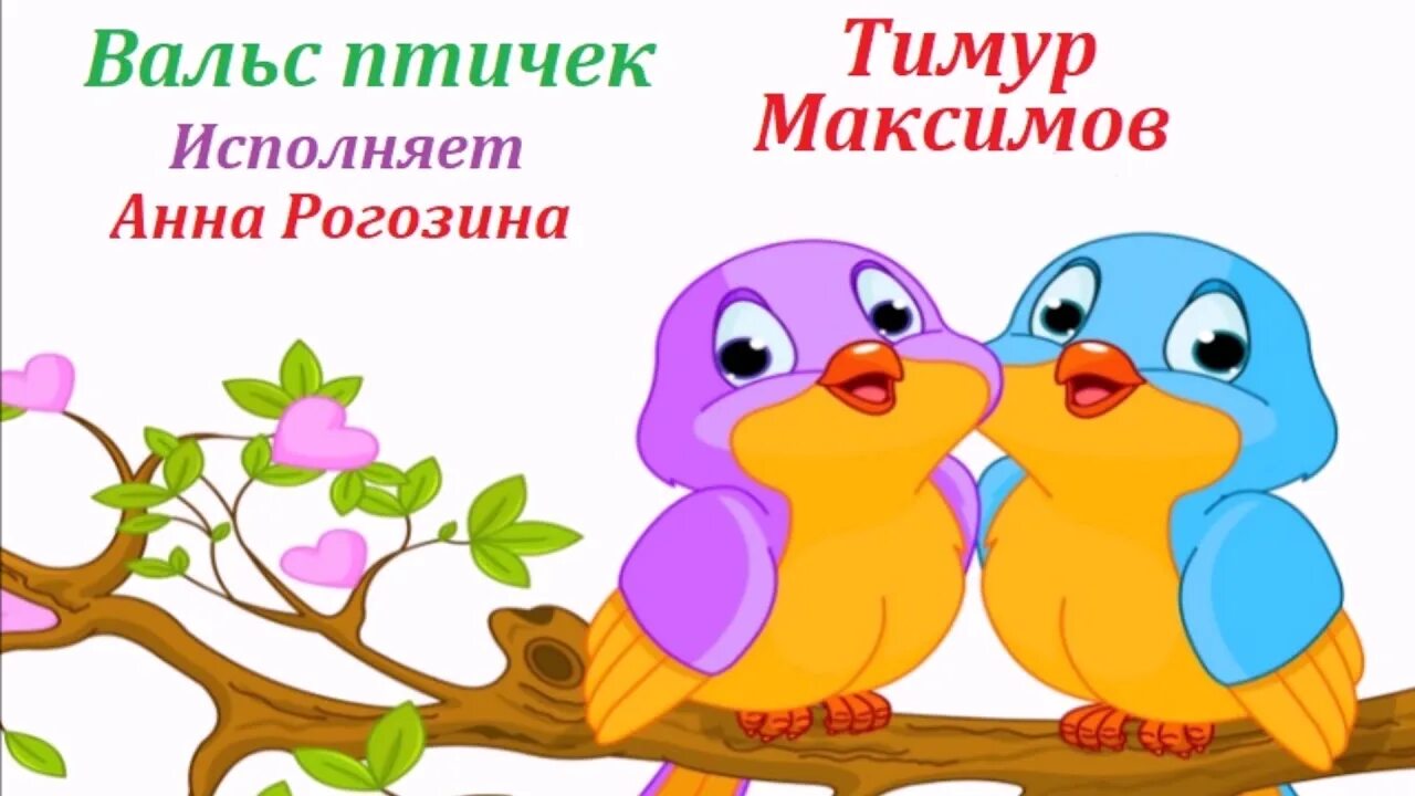 Вальс птиц. Тимур птичка. вальс птичек.
