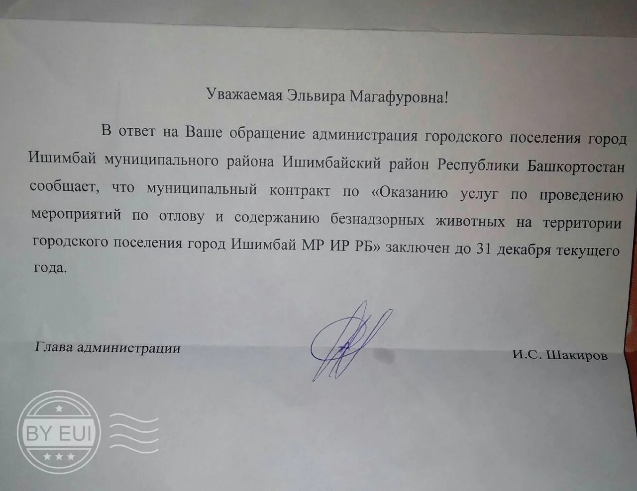 Прошу вас господин спонсор. Обращение в администрацию по поводу бродячих собак. Жалоба по поводу бродячих собак. Письмо в администрацию по бездомным собакам. Ответ на жалобу по бездомным собакам.