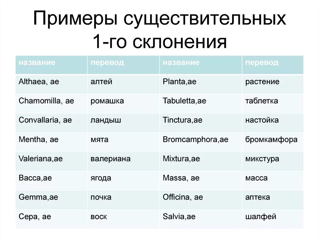 Пример на латыни. 1 Склонение латынь. 1 Склонение существительных в латинском языке. Склонение существительных 1 склонения латынь. 1 Склонение латинский таблица.