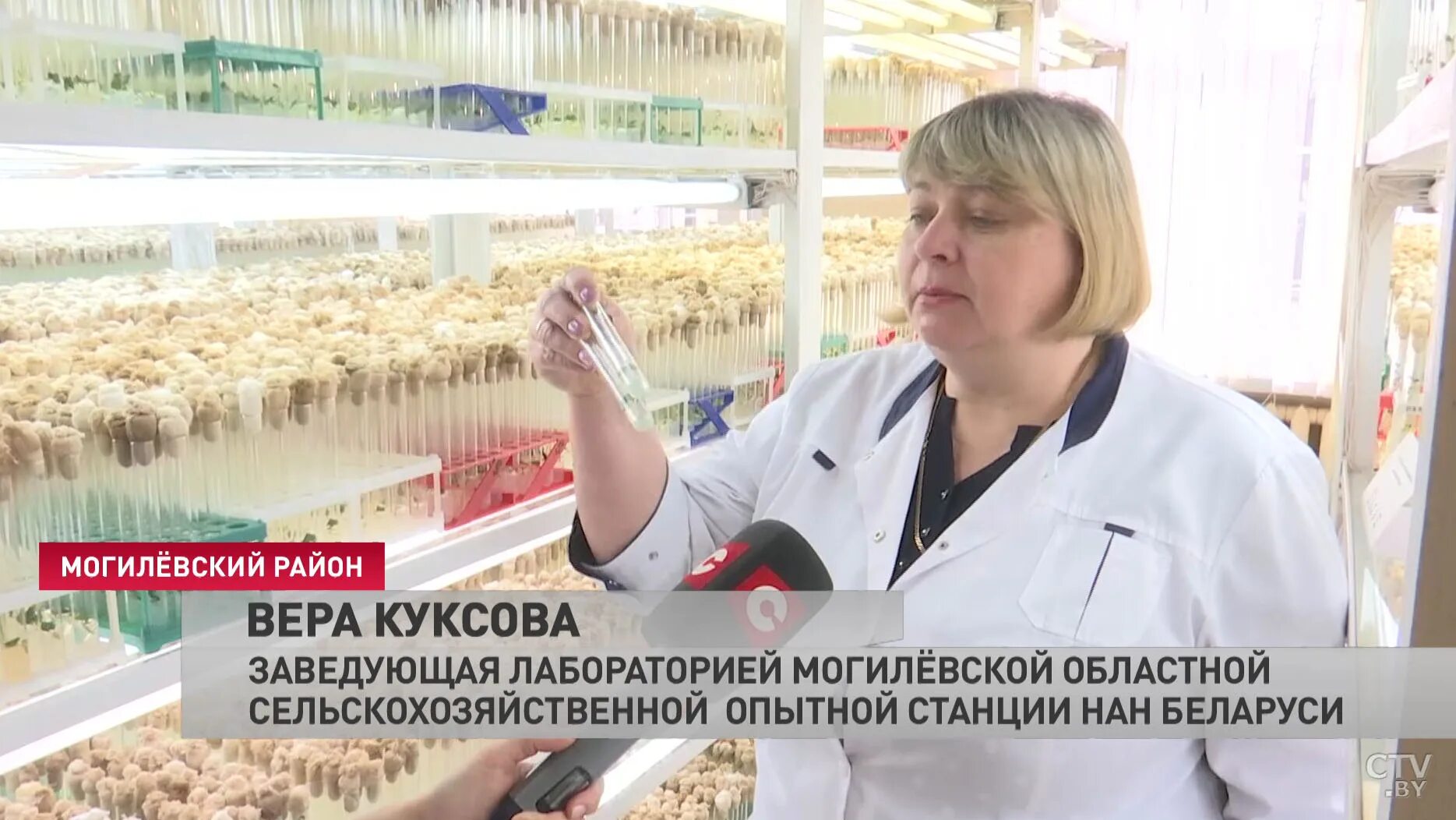 Лаборатории могилевской. Лаборатории могилевской