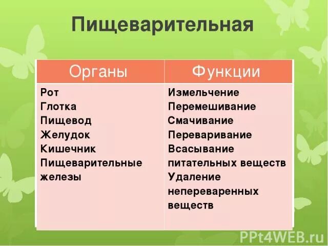 Таблица органы пищеварительной системы и их функции. Функции органов пищеварения. Строение и функции пищеварительной системы. Органы и их функции.