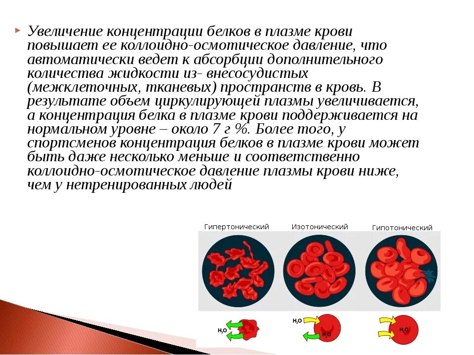 Белок в крови что показывает у женщин. Повышение белков в крови. Завышенный белок в крови. Повышение белка в крови. Общий белок в крови повышен.