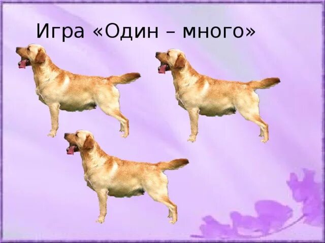 1-много о/о воздействие что это. Наглядные пособия для дошкольников. Они один или они много. Карточки один много. Один - много.