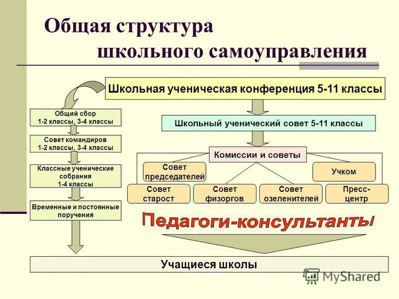 Модель органа самоуправления