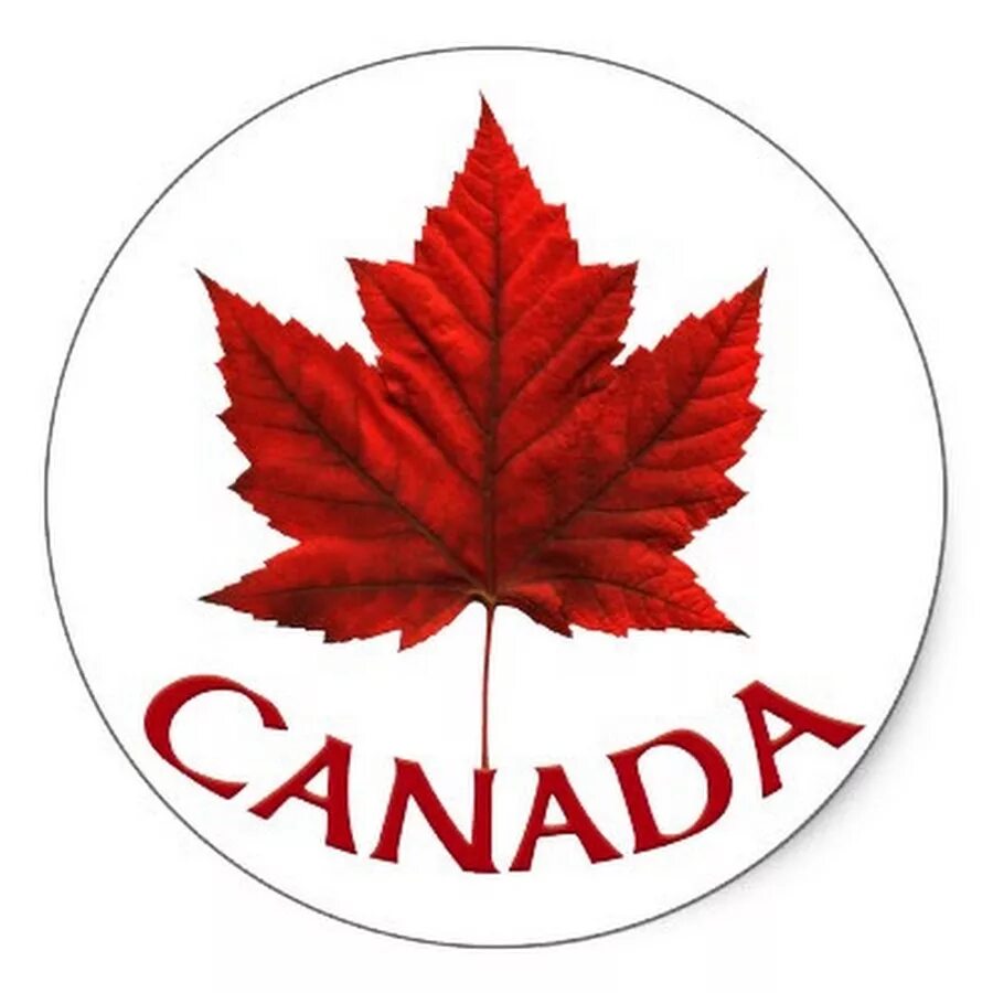 Лист канадского клена. Сахарный клен символ Канады. Канада лист. Канадский кленовый лист символ. Символы Канады.