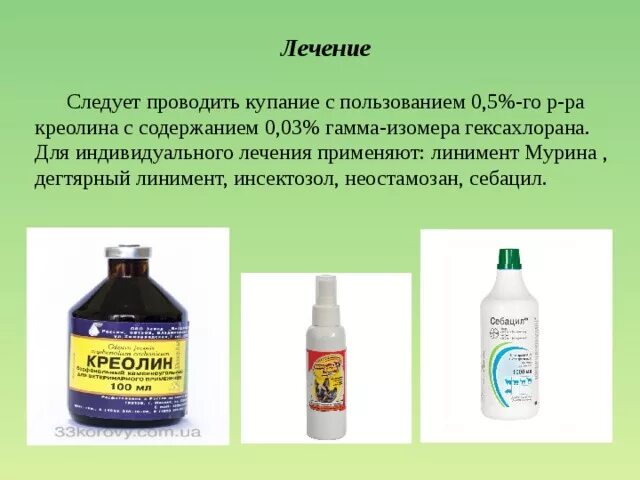 Как обрабатывать креолином