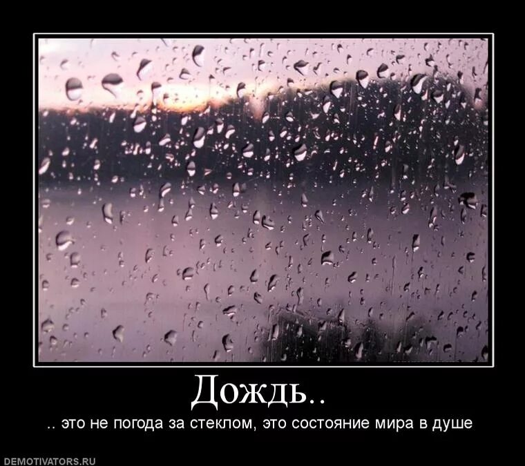 Сказала дождь идет. Смешные фразы про дождь. Плохая погода. Цитаты про дождь прикольные. Цитаты про дождливую погоду и настроение.