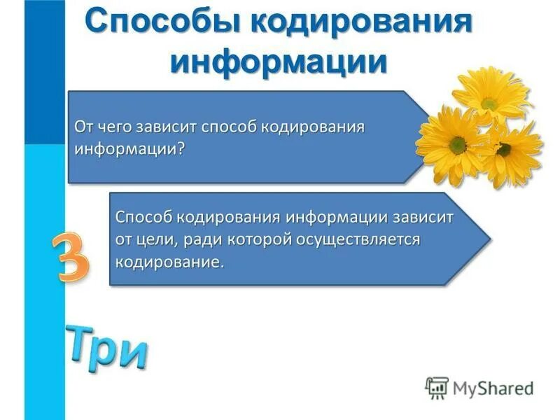 Виды кодирования информации в информатике. Типы кодирования информации. Способы кодирования в информатике. Современные способы кодирования. Способы кодирования.