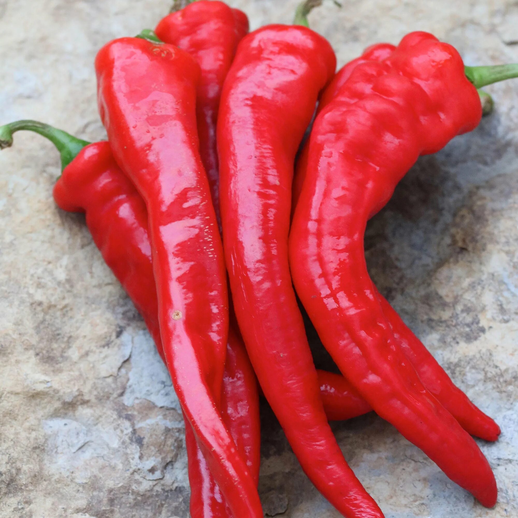 Much pepper. Pepper 20 160. Hot Pepper Dori. Hottest Peppers. Dream Peppers.