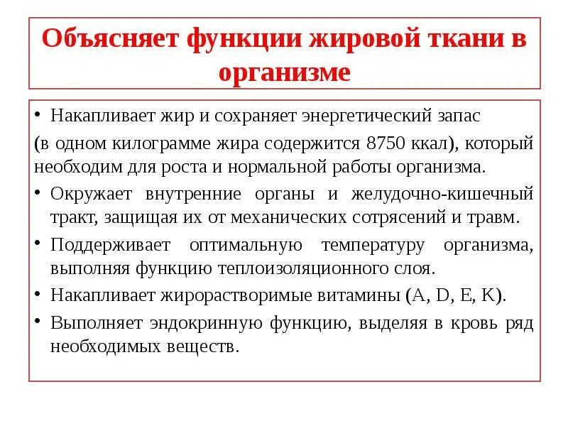 Функции объяснение. Функции жировой ткани в организме. нарушение жирового обмена презентация. нарушение жирового обмена в организме презентация.
