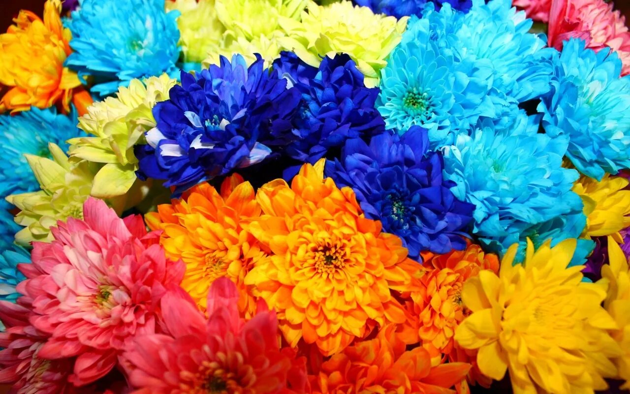 Что делаем яркими цветами