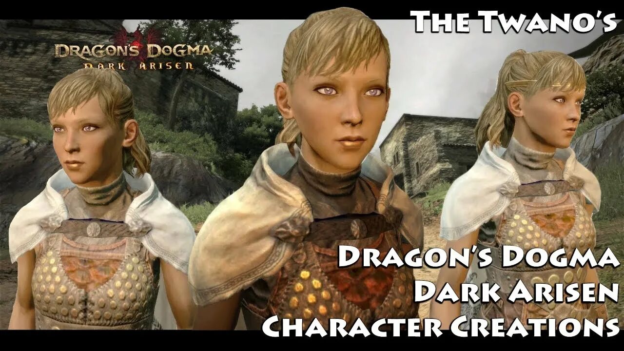 Драгон Догма герцогиня. Dragon's Dogma красивые персонажи. Мод на прически Dragon Dogma. Dragon's Dogma женский персонаж. Dragons dogma dark arisen персонажи